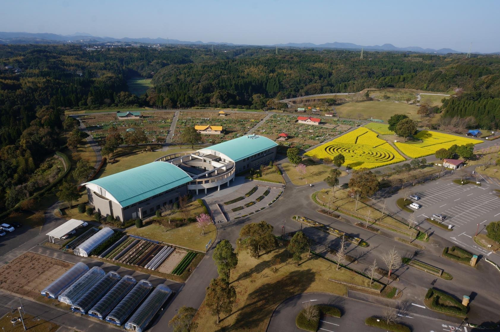🌸 가고시마 도시농업센터(가고시마 토시노교센타) 이미지 4